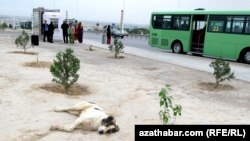 Туркменистан (иллюстративное фото)  