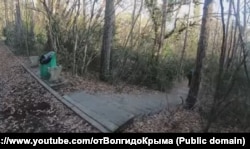 Лівадійський парк. Південне узбережжя Криму, січень 2025 року