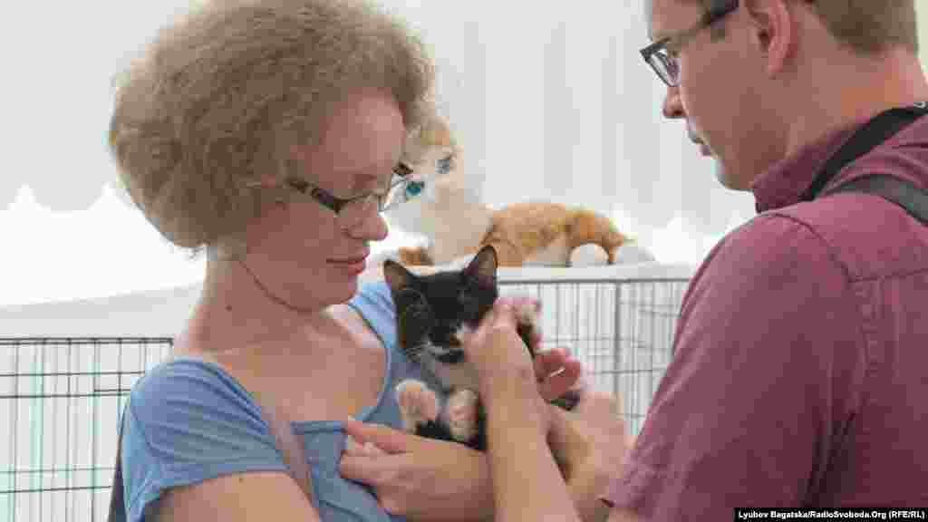 Ті, хто взяв тваринок додому, отримали консультацію ветеринара і спеціальні картонні коробки для транспортування котів