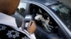 Iran -- A police officer writing a ticket for a family who has a dog in a car.