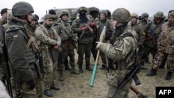 Бійці добровольчого батальйону «Донбас» під час військових навчань неподалік від Маріуполя. 1 квітня 2015 року