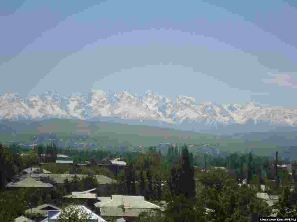 В ясную погоду видны снежные отроги Кичи-Алайского хребта на юге Оша. 