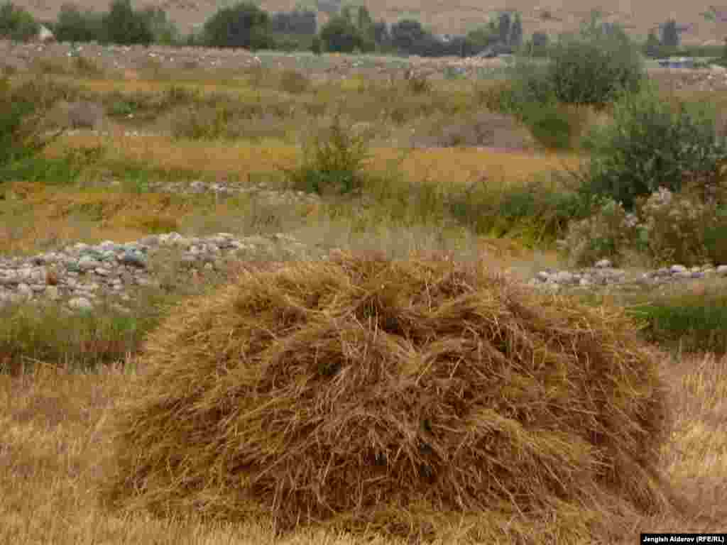 Общий доход примерно составляет 0.5 млрд. сомов