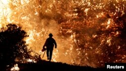 Өрттөнүп жаткан токой. Иллюстрациялык сүрөт.