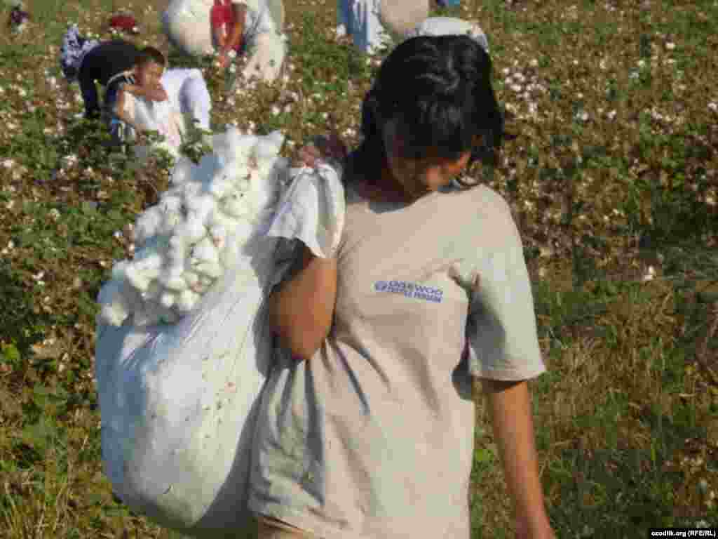 Пахтада иштеген өзбекстандык балдар