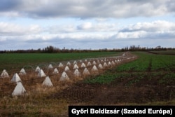 Ряди протитанкових загороджень «зуби дракона», встановлені українськими військовими в Запорізькій області. Фото зроблене 16 листопада 2024 року