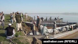 Owganystan. Garkyn etrabynda ýaşaýan etniki türkmenler 