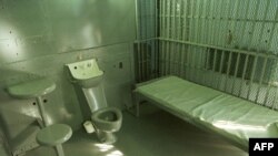 عکس تزئینی است.