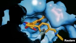 Рактын клеткаларын изилдеген окумуштуу иш учурунда. 2013-жыл. Саттон.  Англия. 