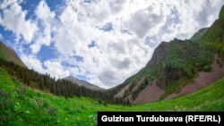 Чүй өрөөнүндө тартылган сүрөт. 