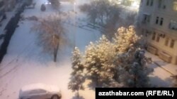 Снегопад в Ашхабаде
