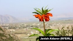 Баткен. Архивдик сүрөт.