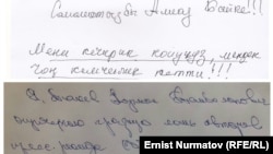 КСДП тараткан жана Түлеев өзү жарыялаган сүрөттөр.
