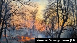 Пожежа в зоні відчуження Чорнобильської АЕС, архівне фото