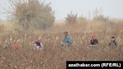 Türkmenistan, galan paýgatyny ýygýan adamlar. 