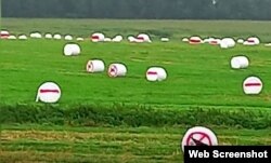 Размаляваныя цюкі пад Дзяржынскам