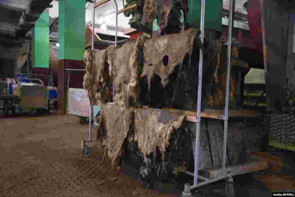 Мехчылар фабрикасында эшкә яраксыз тиреләр