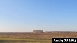 Казанавыл булган җир. Уртада түгәрәкләнеп торган агачлык – зират