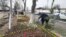 Андижанцы сажают вдоль дорог цветы к приезду Мирзияева.