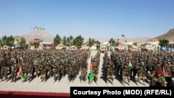 В Афганістані зараз можуть бути від 20 до 30 тисяч колишніх командос, яким не вдалося евакуюватися до західних країн