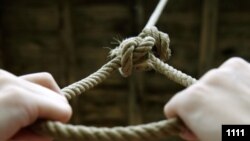 Иллюстрациялык сүрөт. 