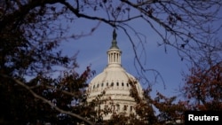 Голосування 60-40 пройшло за підтримки майже всіх республіканців і восьми демократів