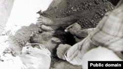 گورستان خاوران، اجساد کشته شدگان ۶۷ در آنچه «گورهای دسته جمعی» توصیف شده است