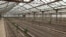 Armenia - A greenhouse in Ararat province, February 18, 2022