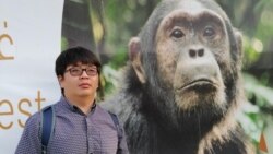 Кескелдирик, куйругуңду кес!