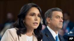 تولسی گابارد، مدیر نهاد اطلاعات ملی آمریکا (سمت چپ) همراه با رئیس سی‌آی‌ای در جلسه استماع سنای آمریکا