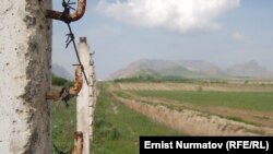 Кыргыз-өзбек чек арасын көпчүлүк жерлерде Өзбекстан тарабынан атайын казылган ушундай аң бөлүп турат.