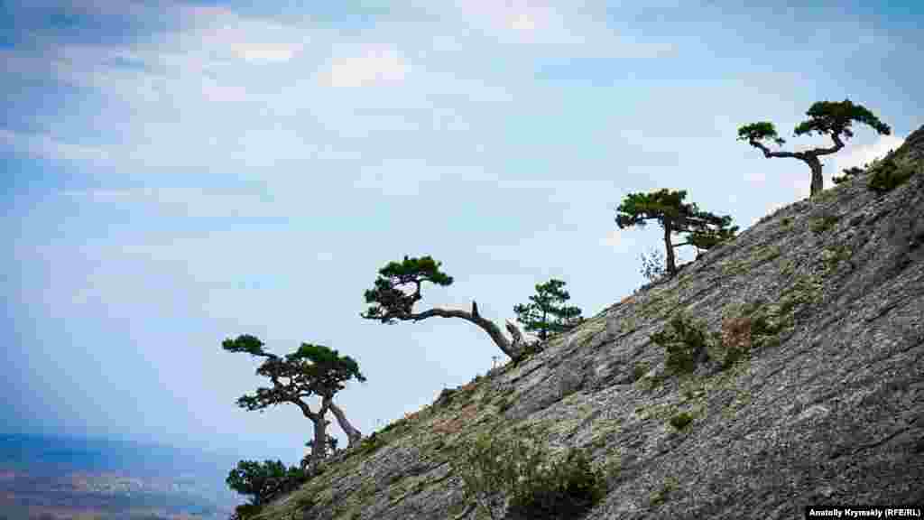 Quş Qayanıñ tik şimal-şarq capları