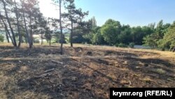 Следы пожара на берегу Симферопольского водохранилища, июль 2025 года.