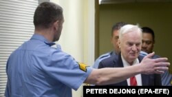 Ратко Младич 