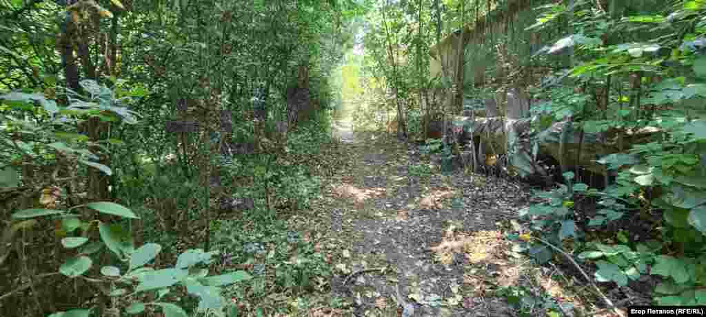 Перехожих на стежці до гроту Чокурча майже не зустрінеш, а туристів – ще рідше