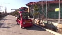 Develer, qaplanlar ve ayuvlar. "Taygan" parkındaki ayvanlarnıñ ayatından bir kün (video)