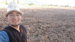 Пандемияда дыйканчылыкка кайттым