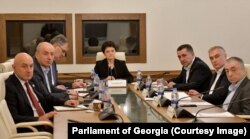 Члены комиссии. В центре - Тея Цулукиани