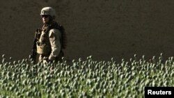 Американский морпех патрулирует местность в районе провинции Фара, Афганистан, 5 мая 2012 года