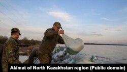 В укреплении дамбы в Тепличном задействованы спасатели, военные, полицейские, госслужащие и волонтеры. 28 апреля 2025 года