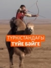 Kazakhstan - camel race