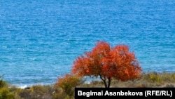 Озеро Иссык-Куль. 