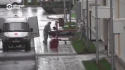 Теша мегар дуй Оьрсийчохь коронавирусах лечу нехан статистиках?