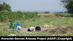 Հայ-գերմանական «Արտաշատ» նախագծի անդամները պեղումների ժամանակ, 2019 թվականի ամառ: