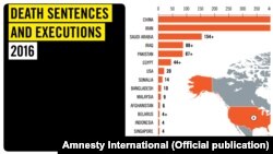 سازمان عفو بین‌الملل تاکید کرده به دلیل کاهش شمار اعدام‌ها در ایران و نیز پاکستان، آمار سال گذشته که خود آماری کم‌سابقه بود، کاهش پیدا کرده‌است