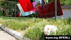 Ленин в можжевельнике и коты Орджоникидзе (фотогалерея)
