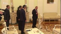 Владимир Путин и Курилы