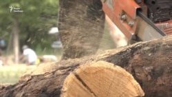 На Хортиці будують козацький човен-дуб за старовинними кресленнями (відео)