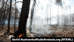 Новий осередок пожеж виник у Житомирській області