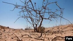گزارش‌های مختلف از نابودی سفره‌های آب زیرزمینی و «خشکسالی هیدرولوژیکی» حکایت دارد